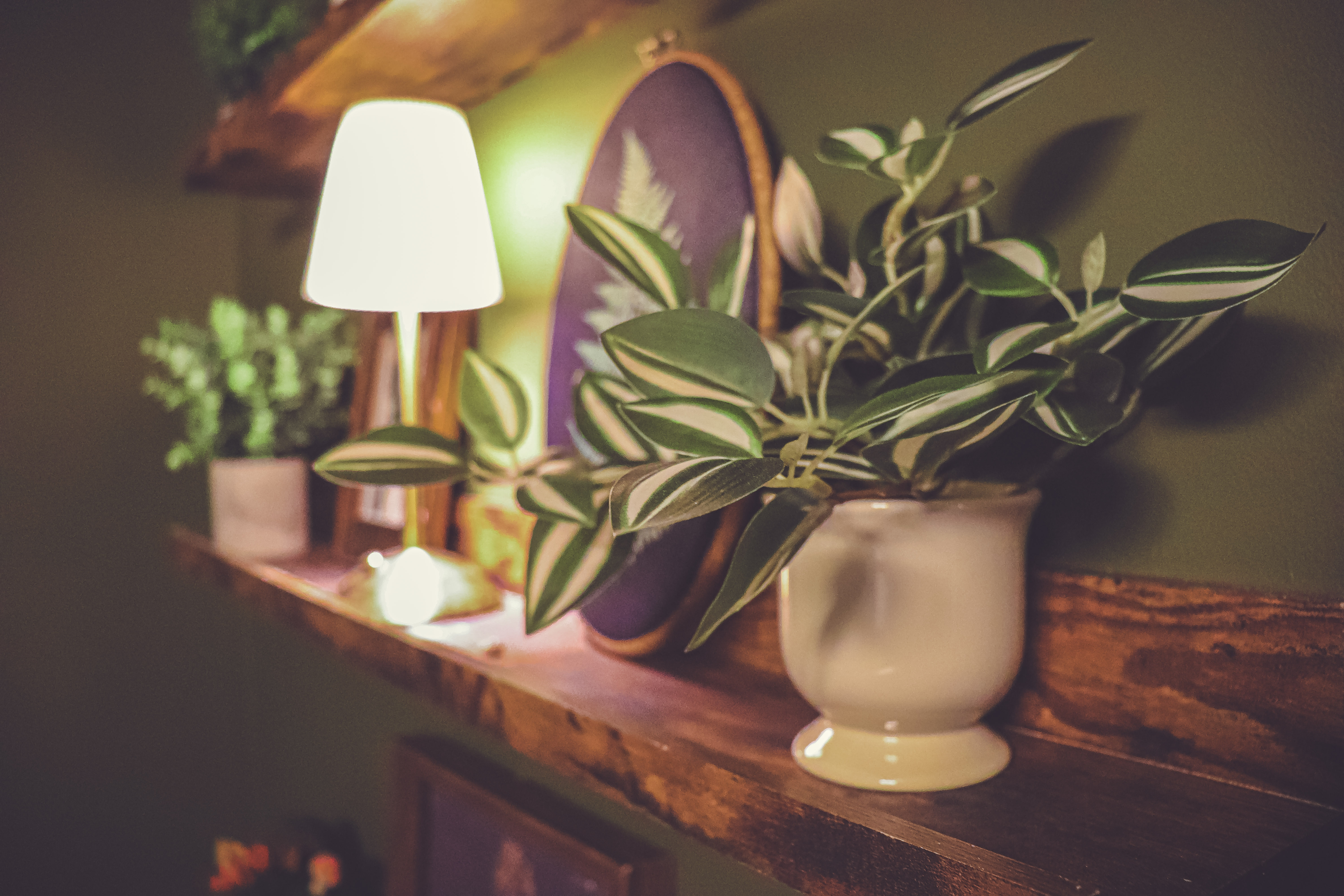 Warm, welcoming counseling office interior