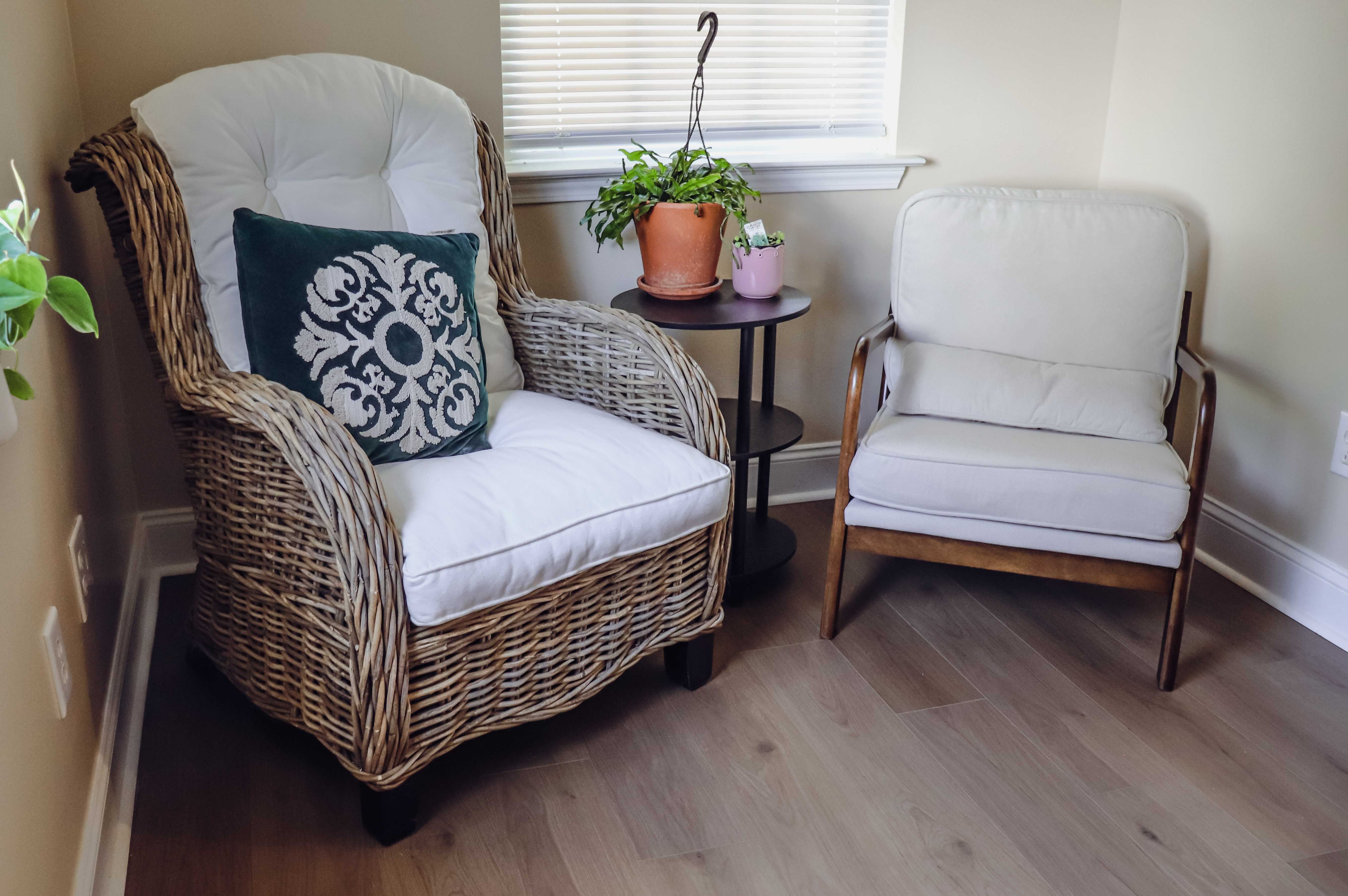 Fern & Feather Counseling and Wellness office space